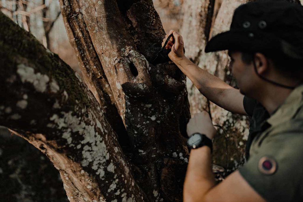 Un homme plante son couteau dans un arbre.