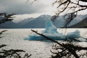 Iceberg vu à travers des branchages.
