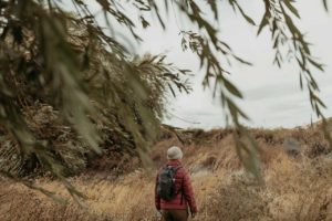 Une personne vue à travers les feuillages.