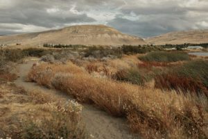 Réserve naturelle en Argentine.