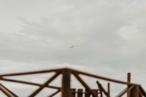 Oiseau dans le ciel.