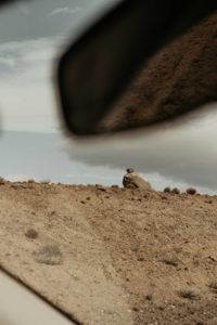 Paysage désertique vu en voiture.