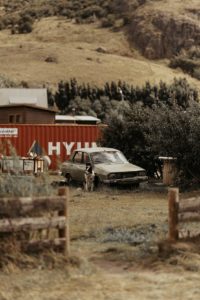 Chien à côté d'une vieille voiture abandonnée.