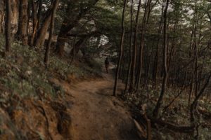 Balalde en sous-bois.