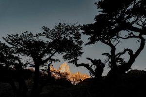 Sommet vu à travers les arbres.