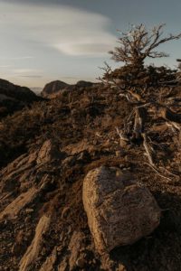 Premier rayons de soleil le matin.