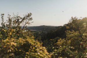 Vallée ensoleillé avec des mongolfières.