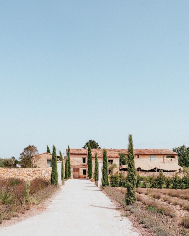 .

La Grange de Javon

Aujourd’hui je vous propose une petite échappée en Provence, en plein cœur du Luberon, prêt du village de Sault (Jean-Pierre Pernaut, de là où tu es, j’espère que tu valides cette entrée en matière et que tu es fière de moi 😜). J’ai eu la chance de découvrir ce sublime site de mariage en septembre dernier. Un magnifique projet dans lequel se sont lancées Julie et Yannick ces dernières années : acheter une vieille bâtisse du XIIIe siècle pour la faire évoluer vers un format de domaine de mariage, tout en gardant le style ô combien charmant de la Provence et en adaptant les lieux aux besoins des mariés. Le tout pour le plus grand au plaisir des yeux. Un grand bravo à vous deux Julie et Yannick. Ce lieu respire la passion et le bon goût. Un bonheur de photographe !
Très prochainement je vous parlerai du mariage de Maïwenn et Ugo.

Lieu @lagrangedejavon
Photographe @romuald_payraudeau 
Maquillage coiffure @nelly_suchier_wedding
Robe @uni.paris
Chaussures de la mariée @maisontoufet
Chaussures du marié @septiemelargeur
Fleurs @lamargueritefleurs et décoration par les mamans 
Alliances @zeina_alliances
Officiant de cérémonie : Proches
DJ @le_bac_a_vinyles
Traiteur @stevenskitchen.provence

#photographemariageprovence #provence #mariageprovence #lieumariage #sinspirersemarier